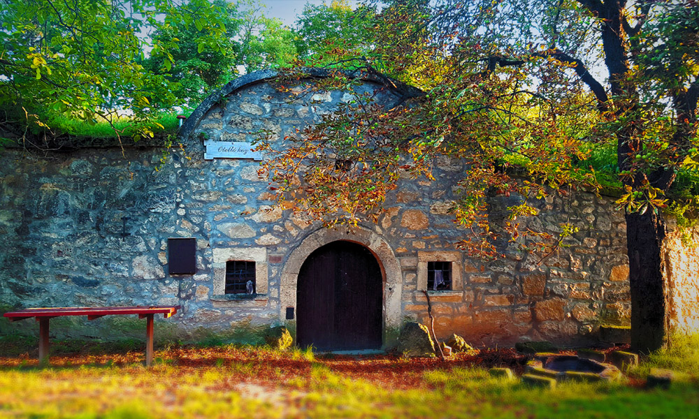 Páty, Pincehegy