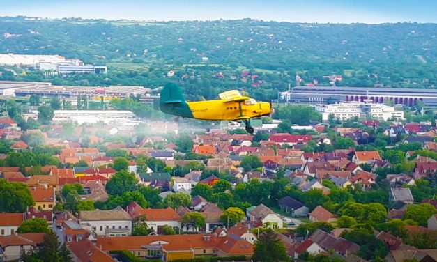 Szúnyoginvázió: azonnali segítséget kérnek a belügyminisztertől a Dunakanyar településeinek polgármesterei