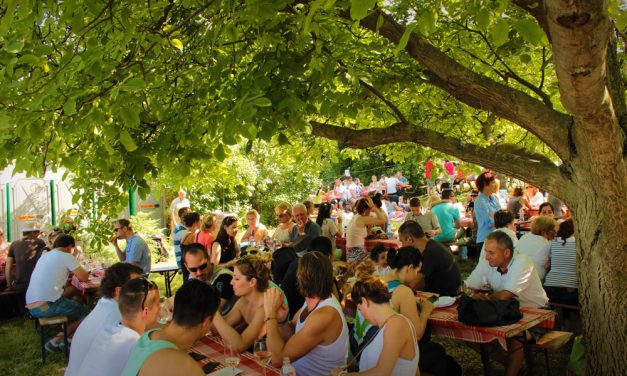 Pincejárat, borpiknik és pezsgős zeneudvar, palotakoncert az Oroszlános udvarban, kisvasutazás Budán, csillagnézés Gyálon, Emlékparki nyár Pákozdon, Dumaszínház Sóskúton, Sárkányszelidítő Jazz Napok, Lecsófesztivál és még sok remek program