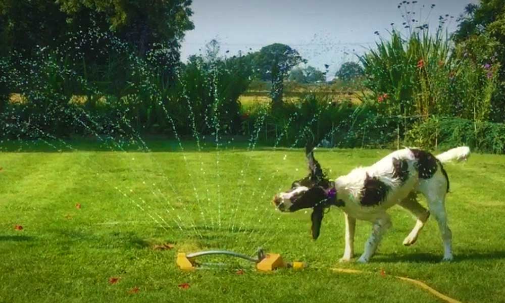 OMSZ figyelmeztetés! Hőség várható Budapesten és környékén a héten