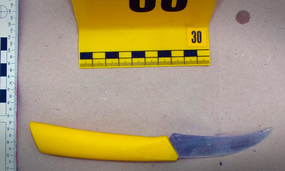 Ezzel a késsel szúrta le a betörő az őt megzavaró tulajdonost