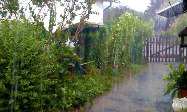 Jégeső és zápor csapott le hétfőn az agglomerációra, nagy késéssel jártak az elővárosi vonatok