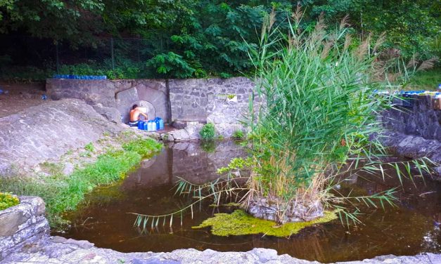 Lajos-forrás: Hűsítő forrásvíz, legendák és királyok. Érdemes inni belőle Szentendrénél