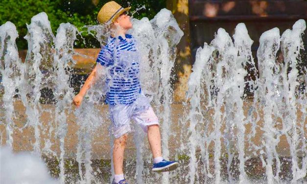 A főpolgármester utasította a főváros cégeit a hőségérzet enyhítésére