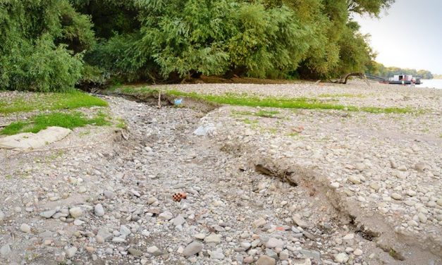 A belügyminiszter vízhiányos állapotot hirdetett, kiszáradt a szentendrei Sztaravoda patak is!