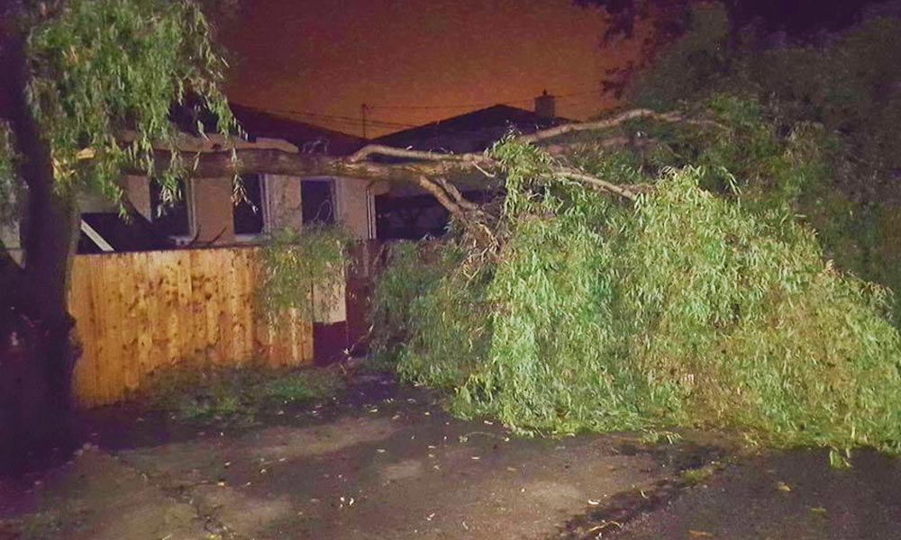 Kidőlt fák, medrükből kilépett patakok. Vihar van a főváros környékén!