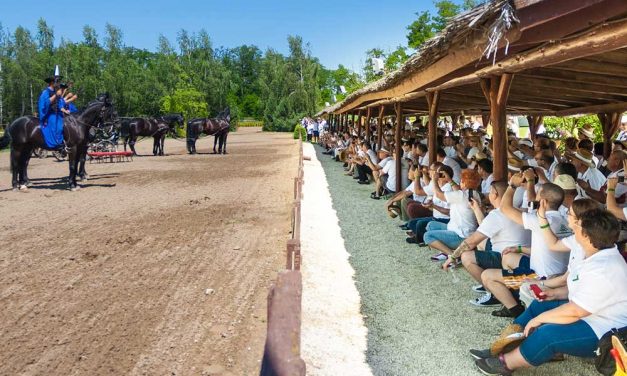 Daganatos gyerekeknek rendeznek családi napot Domonyvölgyben