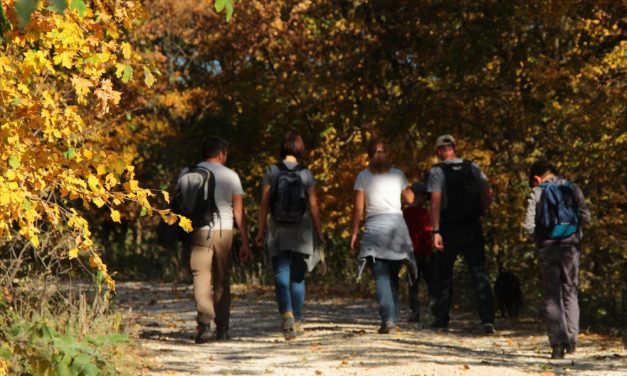 90 éve nem volt ilyen meleg! Megdőlt a fővárosi hőmérsékletrekord hétfőn