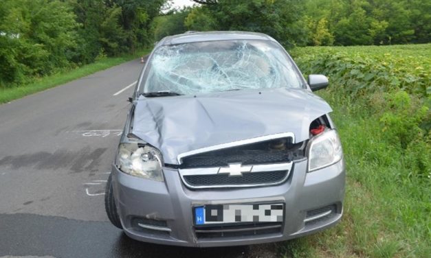 Lovak szaladtak az útra, csúnyán elintézték az autót