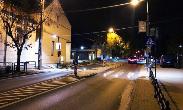 Már Budakeszin is okos lett az egyik zebra