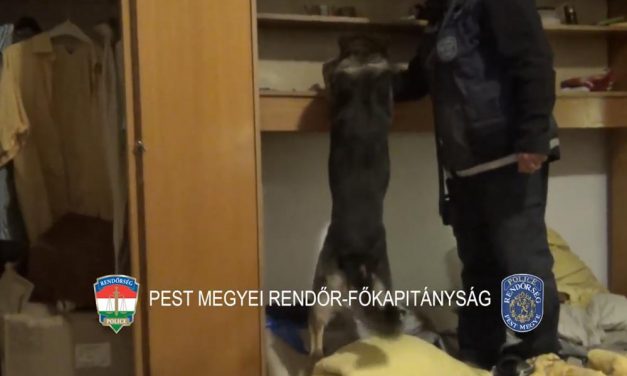 Kábítószerkereskedőkre csaptak le a rendőrök az agglomerációban