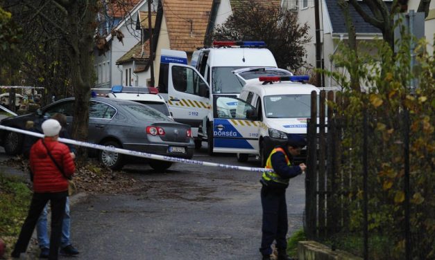 A saját nászasszonyát végezte ki a gyilkos Békásmegyeren – újabb döbbenetes részletek!