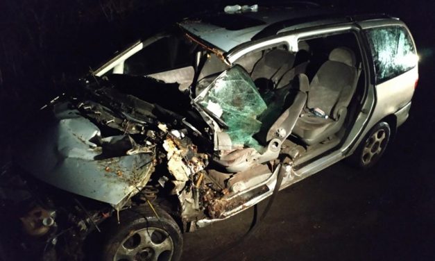 Tragédia! Lehajtott az útról, fának csapódott, a sofőr meghalt – Fotók