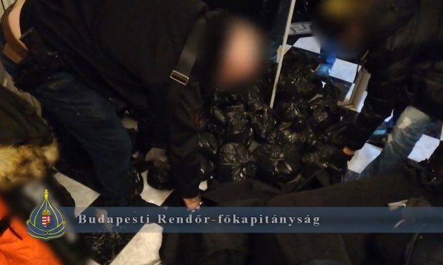 Rajtaütöttek a drogtanyán, 50 millió forint értékű füves cigi alapanyagot találtak