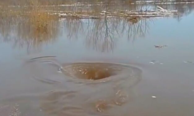 Veszélyes örvények a Dunában, megmutatják mitől jönnek létre – Videó!