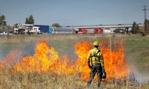 Bozóttűz veszélyezteti az M0-s forgalmát Vecsésnél