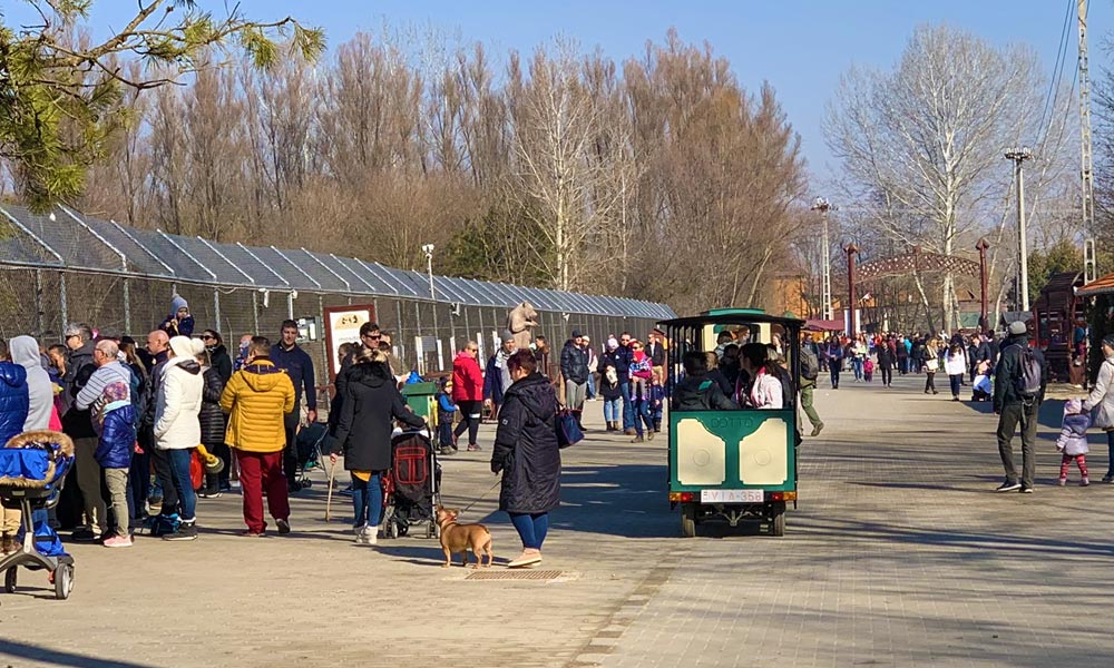 Botrány a Veresegyházi Medveotthonban, nem adták át a kulcsot a polgármesternek