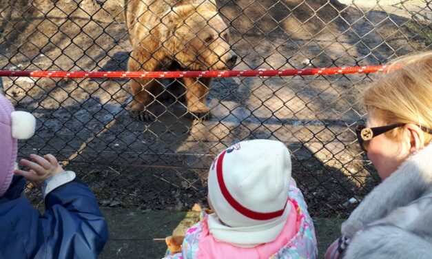 Veresegyházi Medveotthon: Nagyon cuki családi program