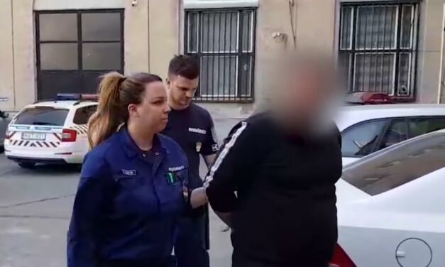 Barátnője bántalmazása miatt ítélték el a rendőrökre késsel támadó erdőkertesi férfit
