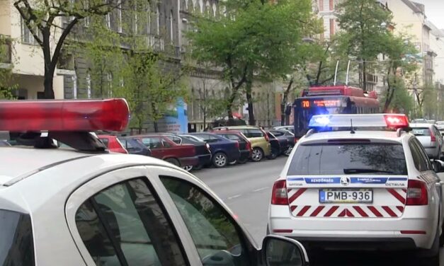Hihetetlen: Egy belvárosi lakásban találtak marihuána ültetvényt