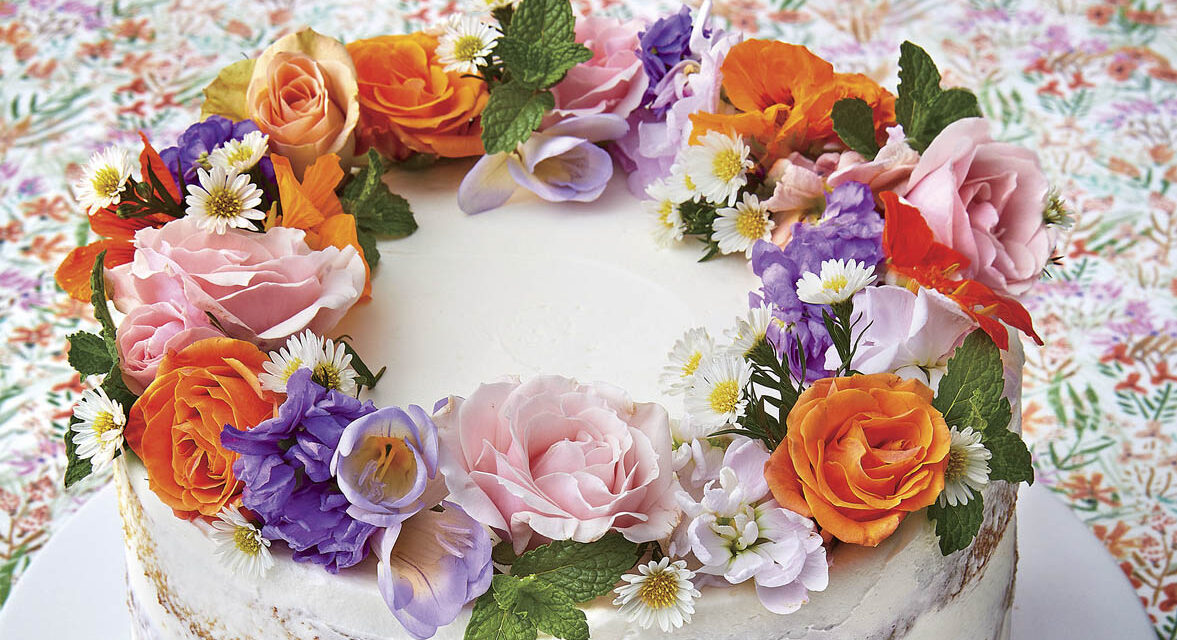 Magyarország tortája – Bemutatták az idei döntősöket, sok budapesti van versenyben