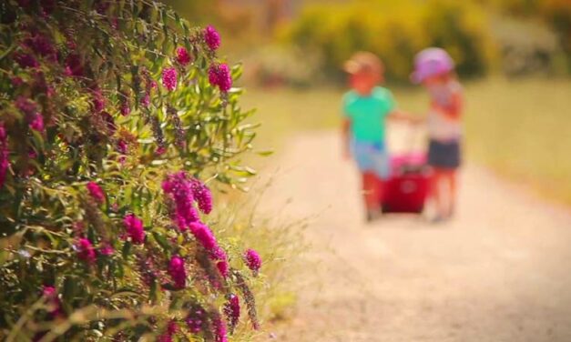 Egy fiúnak öltözött lány csalt el otthonról egy 11 éves csepeli kislányt