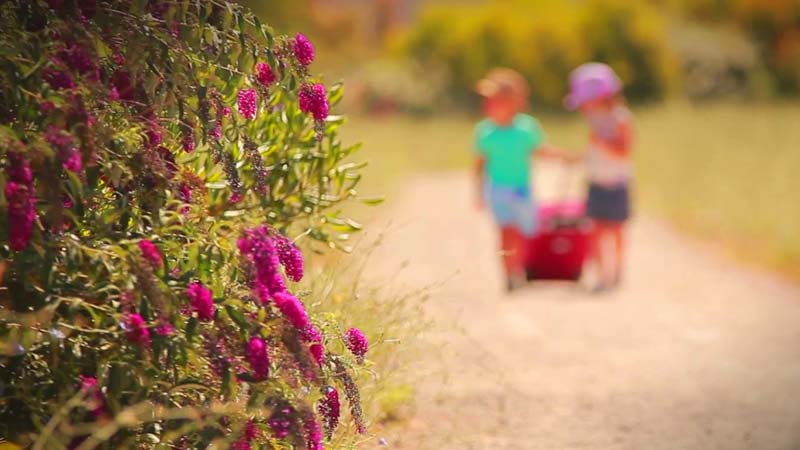 Egy fiúnak öltözött lány csalt el otthonról egy 11 éves csepeli kislányt