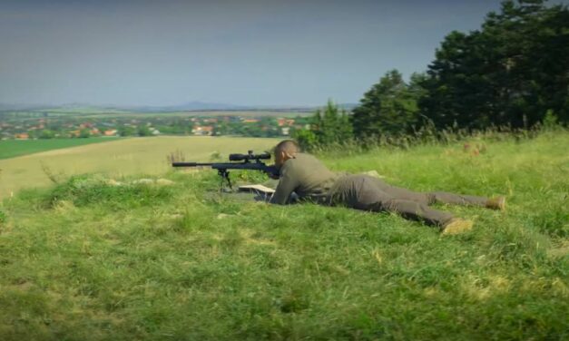 A Pátyi fenyvesben lövöldözik legújabb filmjében a világsztár Will Smith