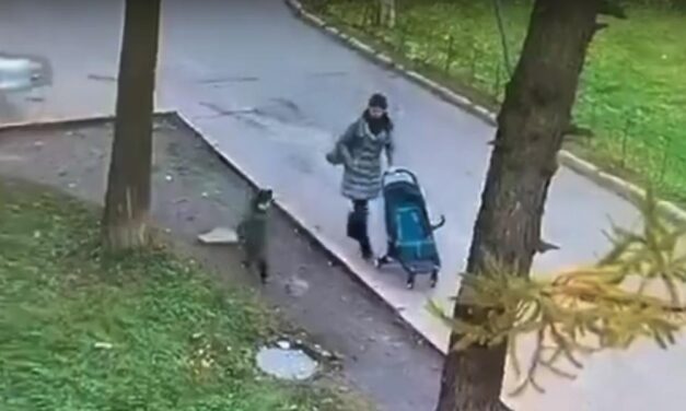 A csatornafedélre lépő gyereket elnyeli a föld – Budapesten is történt ilyen! (Videó)