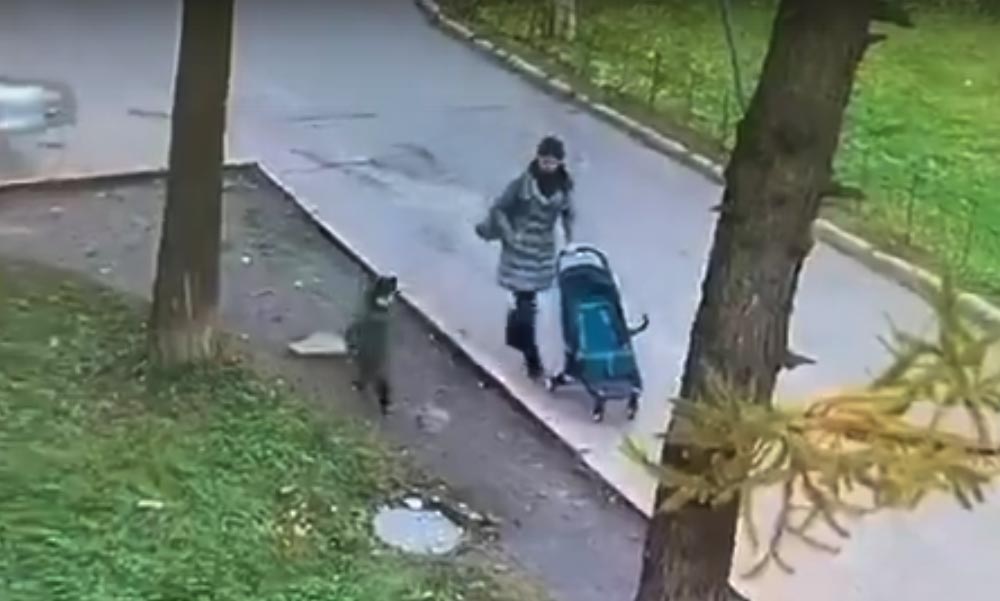 A csatornafedélre lépő gyereket elnyeli a föld – Budapesten is történt ilyen! (Videó)