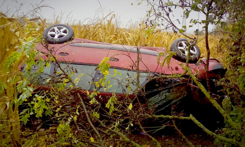 A kukoricásba csapódott egy autó az agglomerációban
