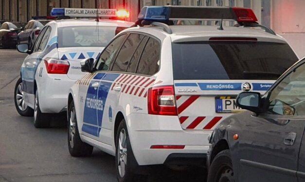 Spirituális terápiát tartott egy nő az egyik ráckevei panzióban, 160 eurót kért a „megtisztulásért”, amelyhez kábítószeres ital is járt