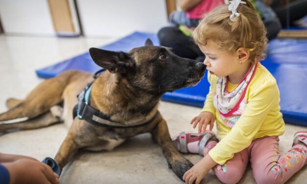 A világ legjobb romkutató mentőkutyája Zsámbékon tűnt fel