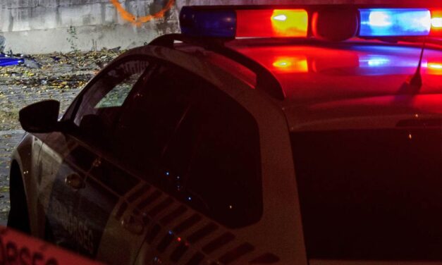 Elrendelték a kegyetlen dunavarsányi gyilkosság gyanúsítottjainak letartóztatását