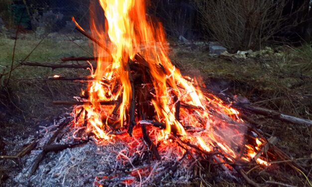 Tűzgyújtási tilalom: súlyos pénzeket fizethetnek a kertes házban lakó szabályszegők