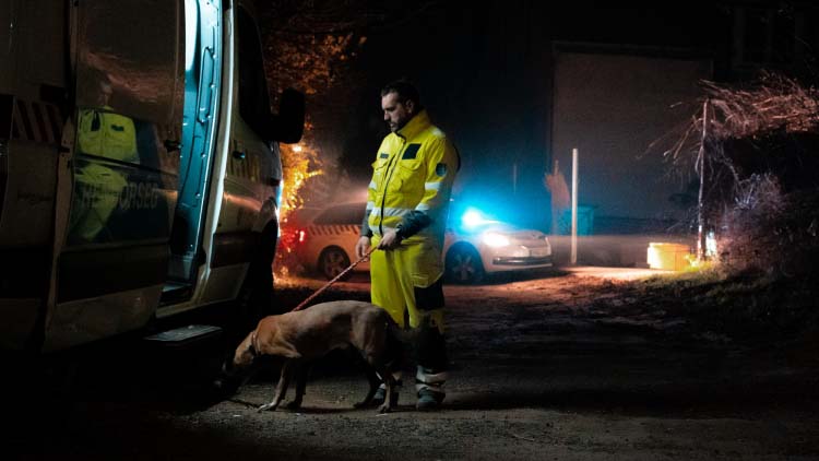 Három hónapig aggódott szerelméért, miután elásta a pincébe