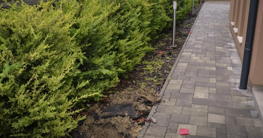 180 millió forintot ásott el biatorbágyi kertjében a tuják alatt a drogdíler férfi, hat év fegyházra ítélték