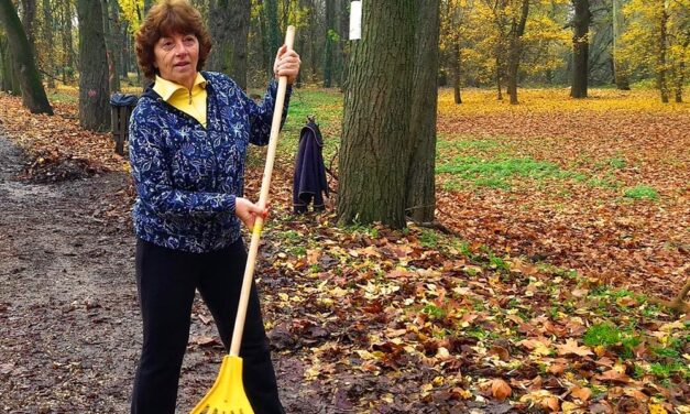 Vác új polgármestere kimondta: Nem kell új sportcsarnok, újítsák inkább fel a régit!