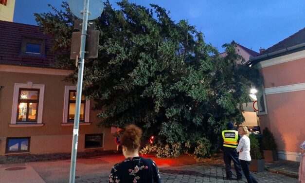 8 milliós botrányos krumpliosztás és bénázás a kamerával – pörögnek az agglomerációs polgármesterek