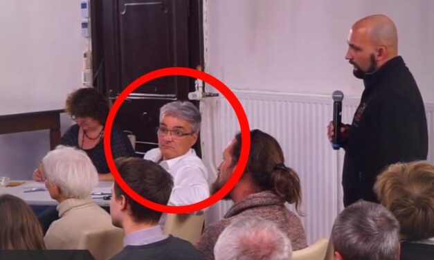 Felemelte szemöldökét a szentendrei polgármester, úgy meglepődött azon, amit mondtak neki