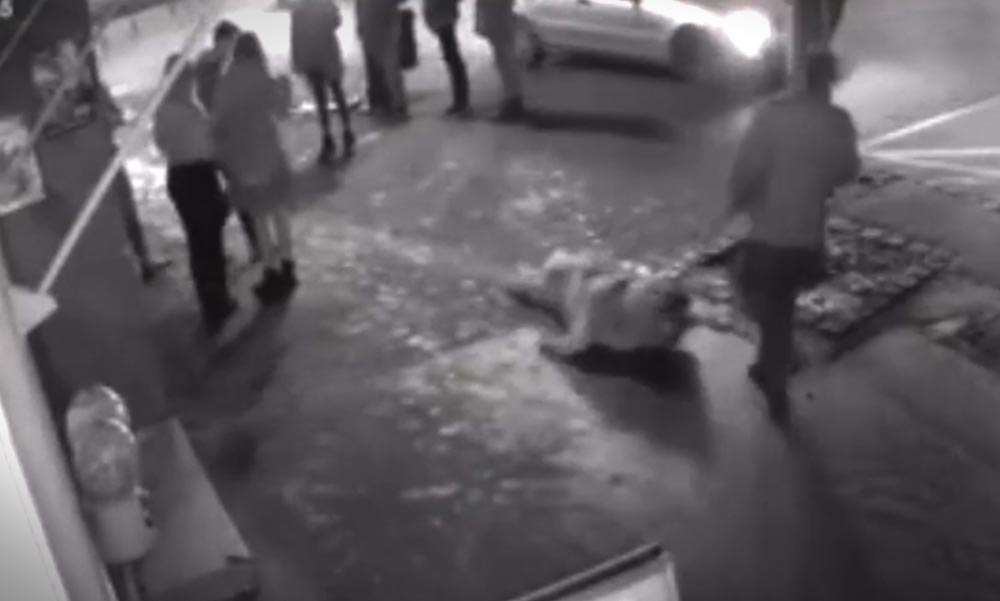 Az utcán vonszolt végig egy kutyát a kegyetlen állatkínzó (18+Videó)