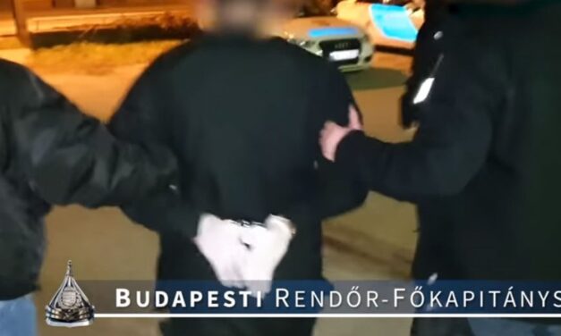 Élete végéig börtönbe maradhat az a férfi, aki Kőbányán kioltotta szomszédasszonya életét, a szörnyűséget a nő három gyermeke is végignézte