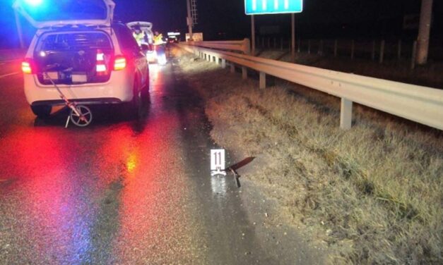 Halálra gázoltak egy gyalogost az M5-ösön