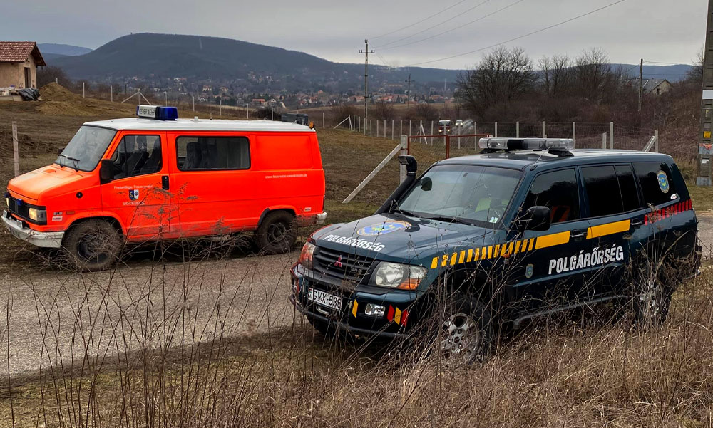 Fertőzésveszélyes sertéstetemeket dobott ki valaki az autójából PiIliscsabánál