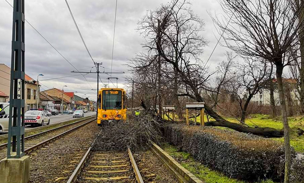 Óriási szélvihar érkezett, dugó az M0-áson és a bevezetőkön, késések az elővárosi vonalakon