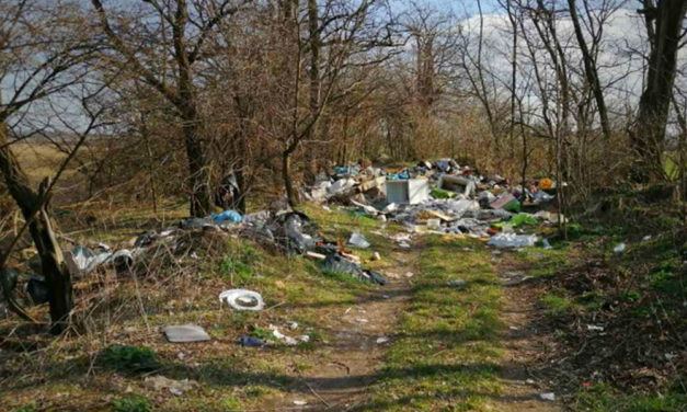 Pénzéhes vállalkozók dobálják szét a mocskot Budapest környékén