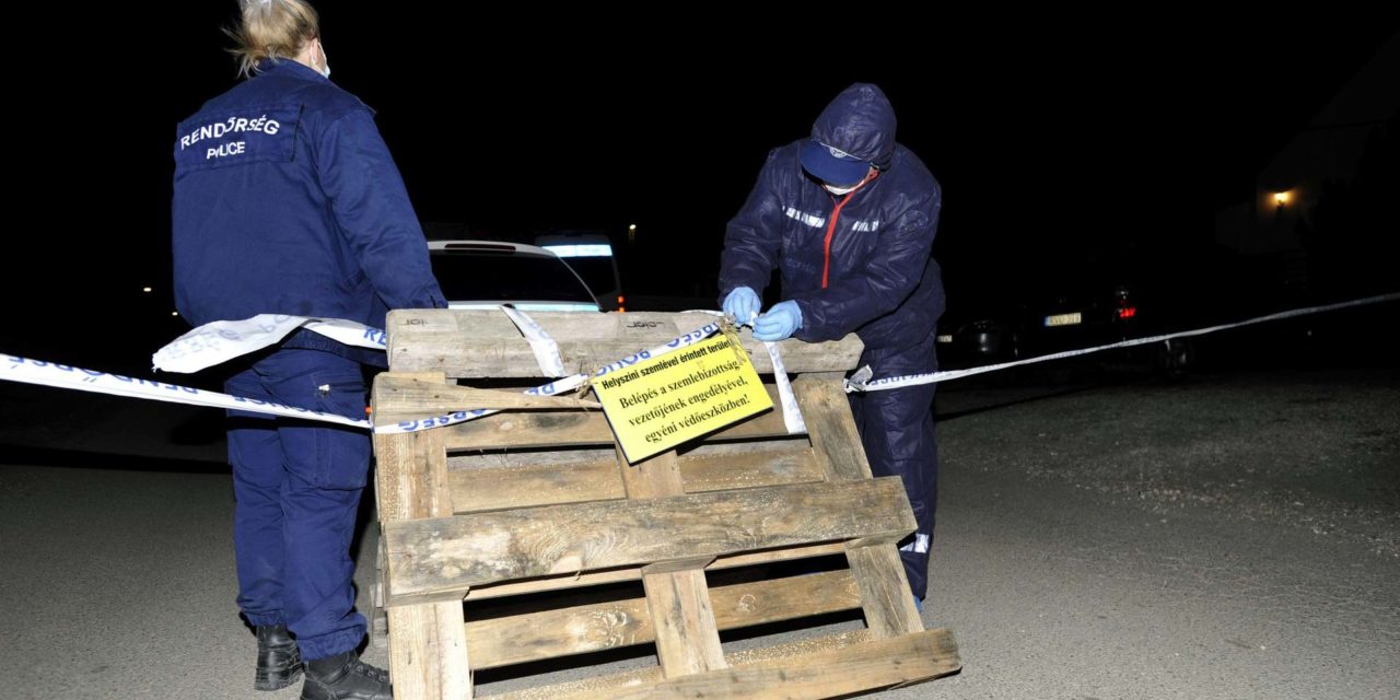 Kacatok között találták meg Szentendrén a csecsemő maradványait
