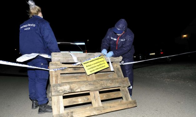 Kacatok között találták meg Szentendrén a csecsemő maradványait