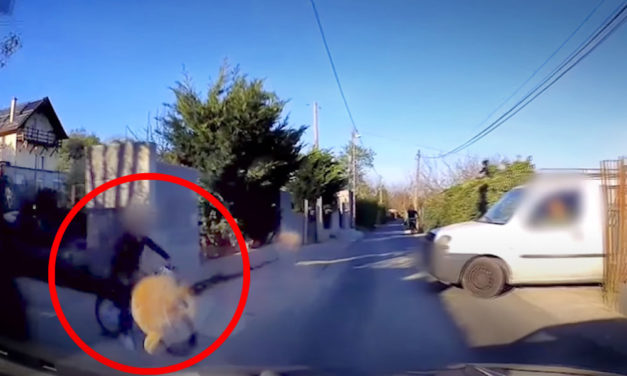 Az autó elé biciklizett a kisrác, nem figyeltek rá a szülei, nagy szerencséje volt, hogy megúszta