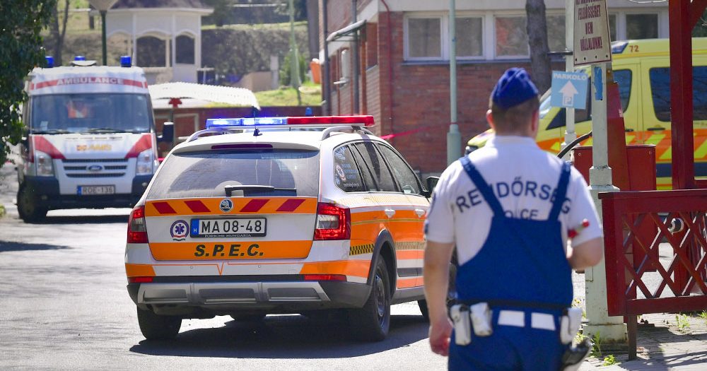 Letartóztattak egy embert a drogos magyar énekesnő ügyében – elképzelhető, hogy a fiatal művész vallomása segített a rendőröknek